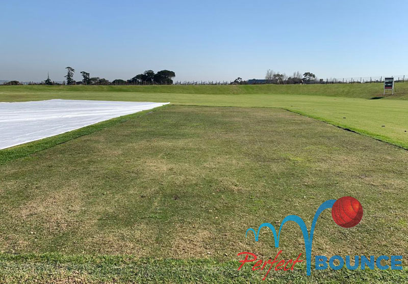 Perfect Bounce Turf Cricket Pitches