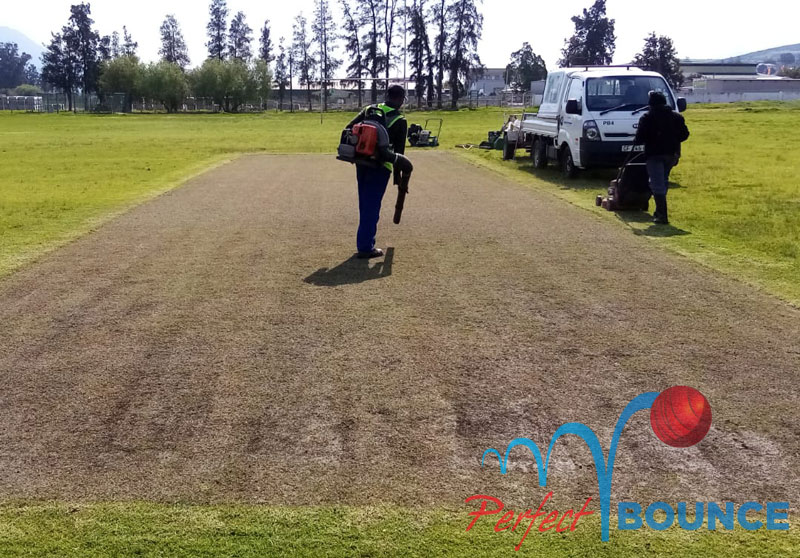 Perfect Bounce Pre-season cricket maintenance, Scarify and top-dress of wickets