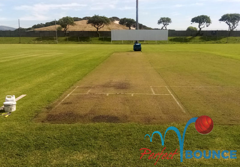 Perfect Bounce Preparations of cricket pitches